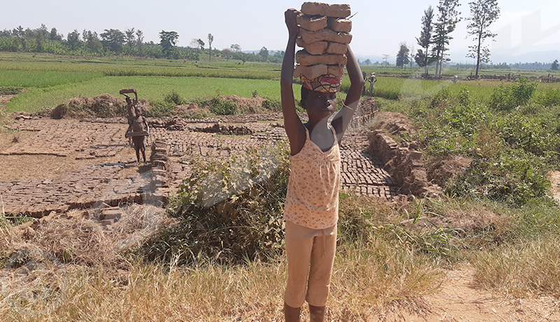 Région Sud/Cibitoke : De lourds travaux pour les enfants mineurs à Rugombo